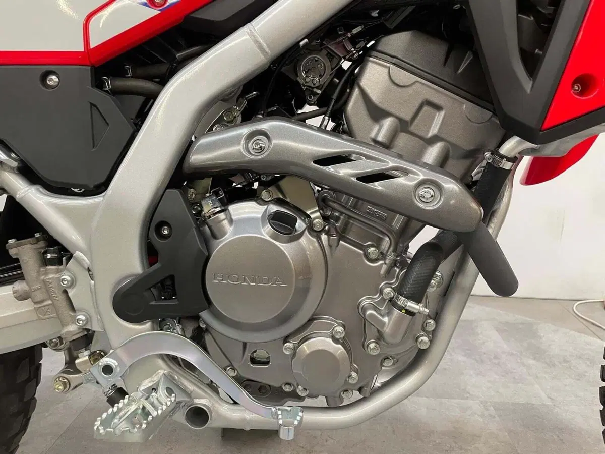Honda CRF 300 Rally (2025 - 26) (15)