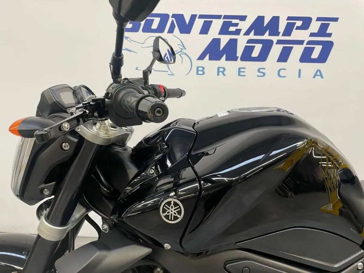 Yamaha FZ1 (2006 - 16) (3)