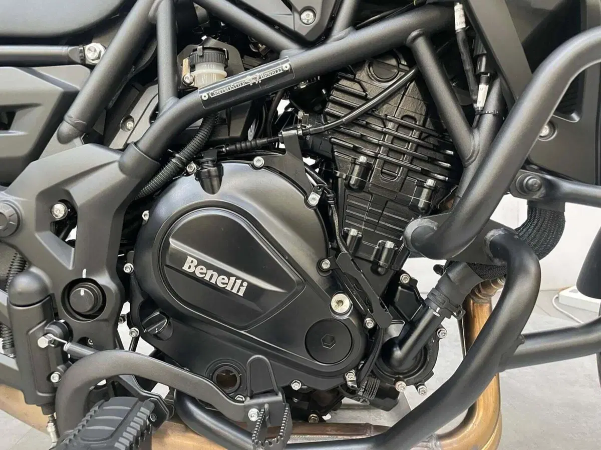 Benelli TRK 702 (2023 - 25) (8)