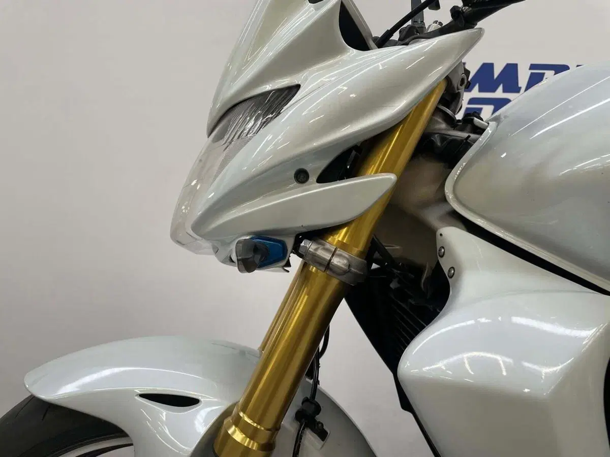 Honda Hornet 600 (2007 - 10) (3)