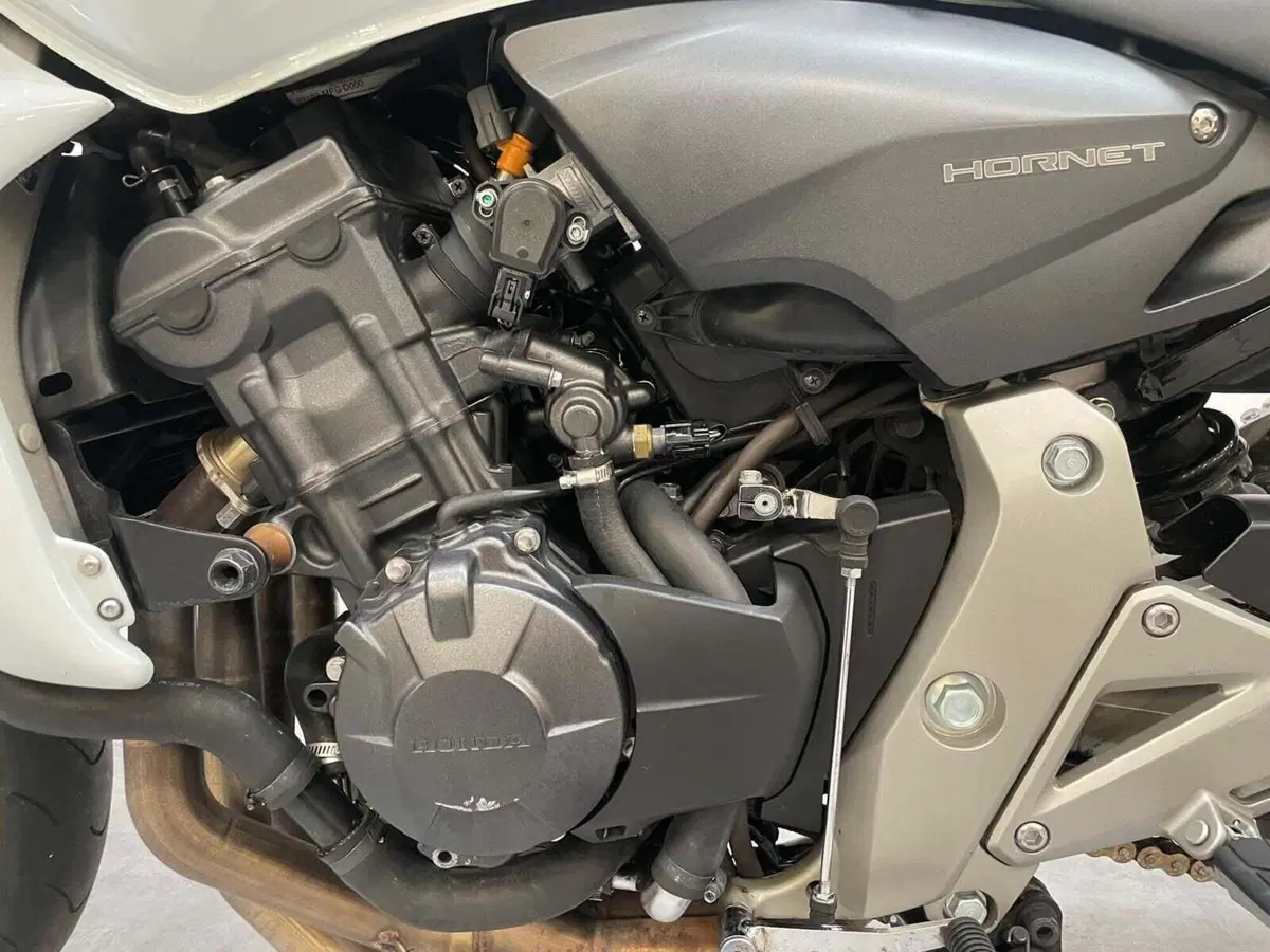 Honda Hornet 600 (2007 - 10) (11)