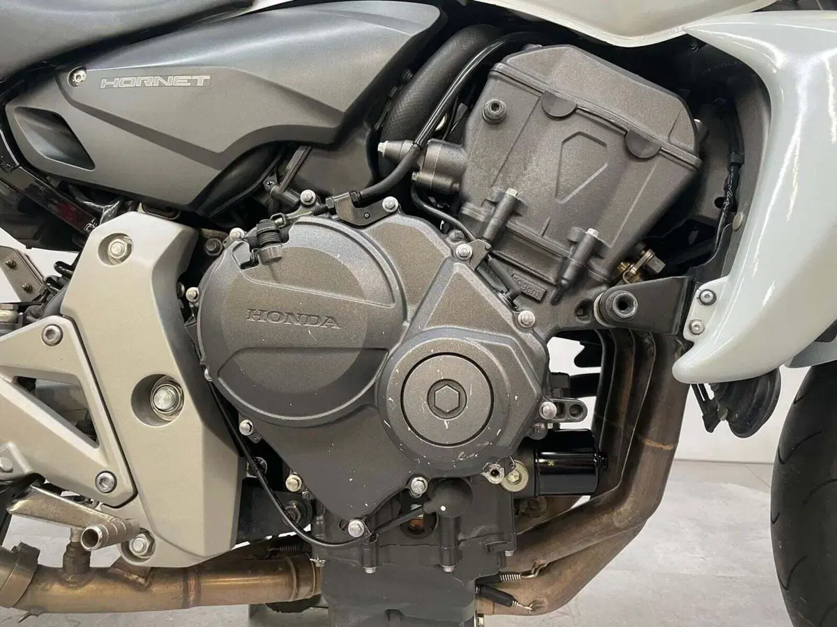 Honda Hornet 600 (2007 - 10) (15)