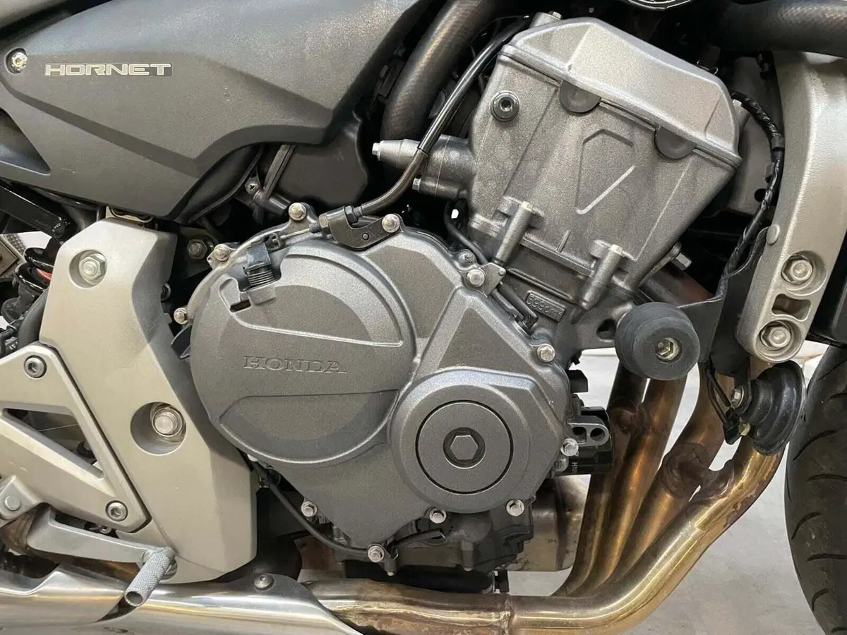 Honda Hornet 600 (2007 - 10) (2)