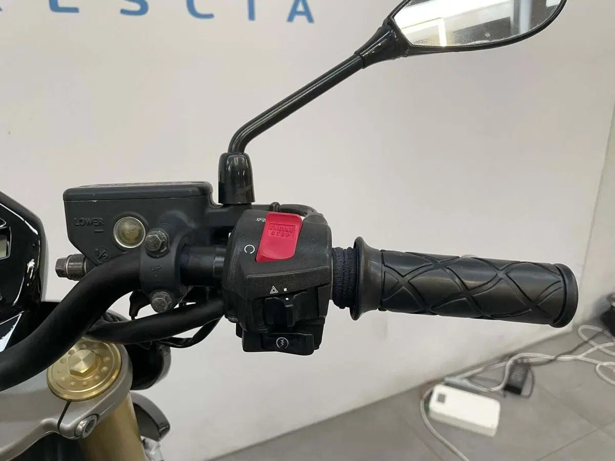 Honda Hornet 600 (2007 - 10) (8)