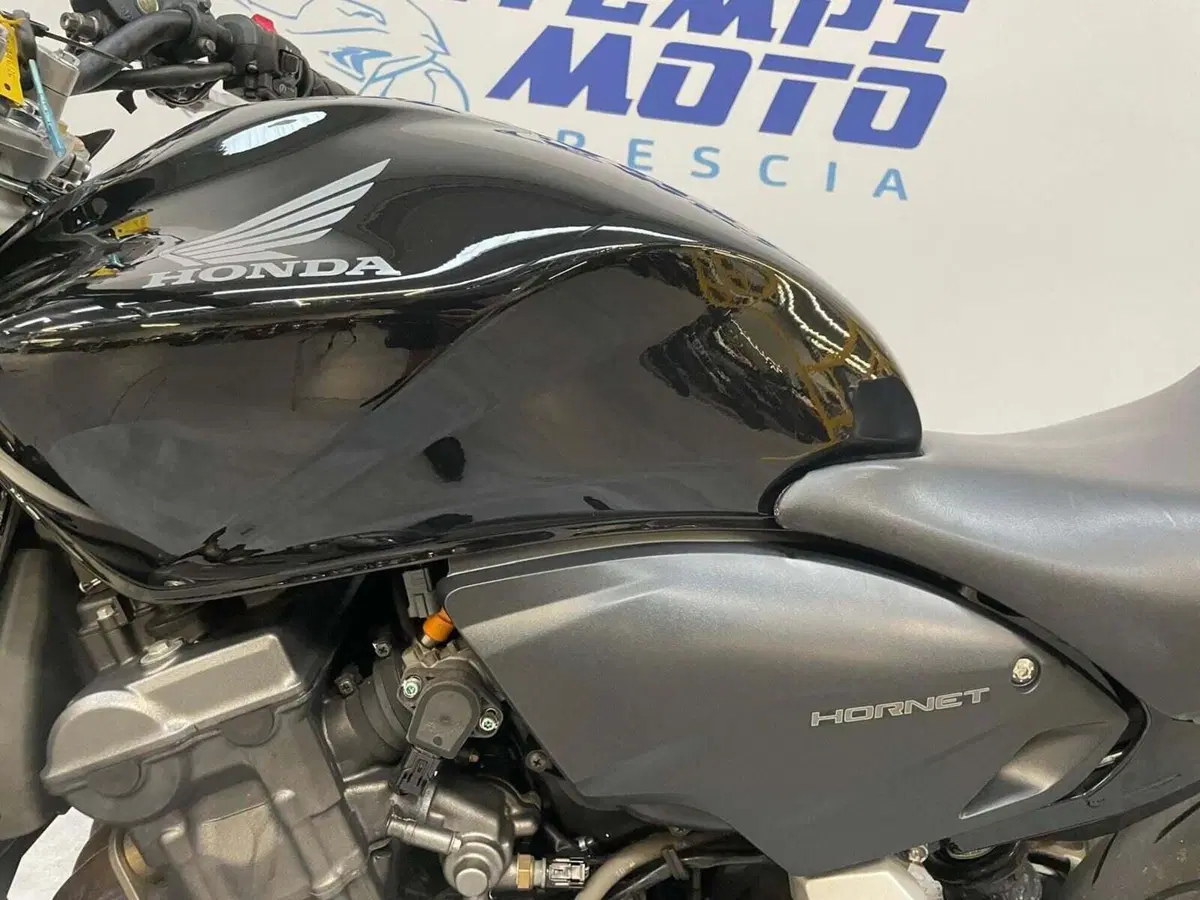 Honda Hornet 600 (2007 - 10) (10)