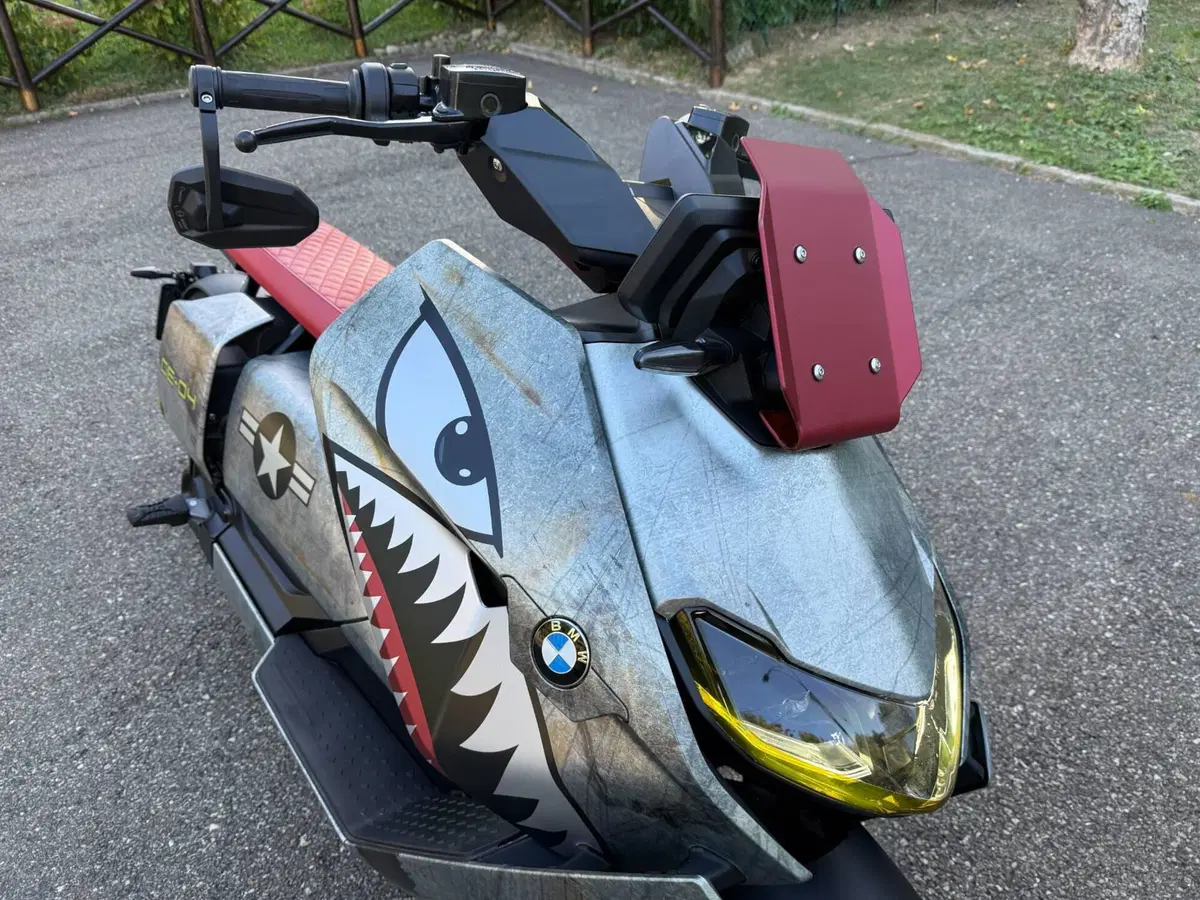 Bmw CE 04 (2021 - 25) (3)