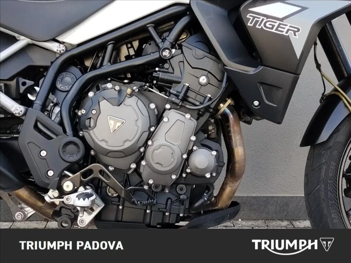 Triumph Tiger 900 GT (2020 - 23) (3)