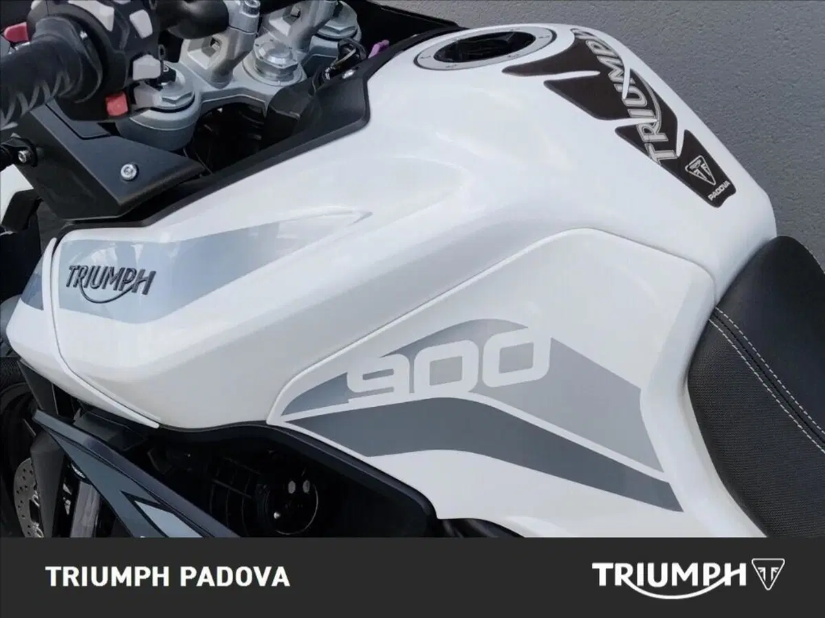 Triumph Tiger 900 GT (2020 - 23) (9)