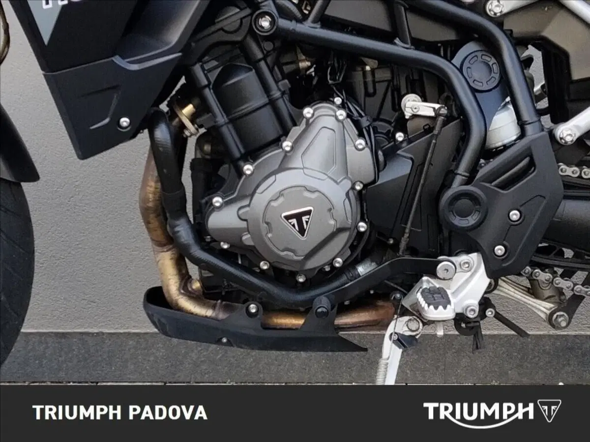 Triumph Tiger 900 GT (2020 - 23) (8)