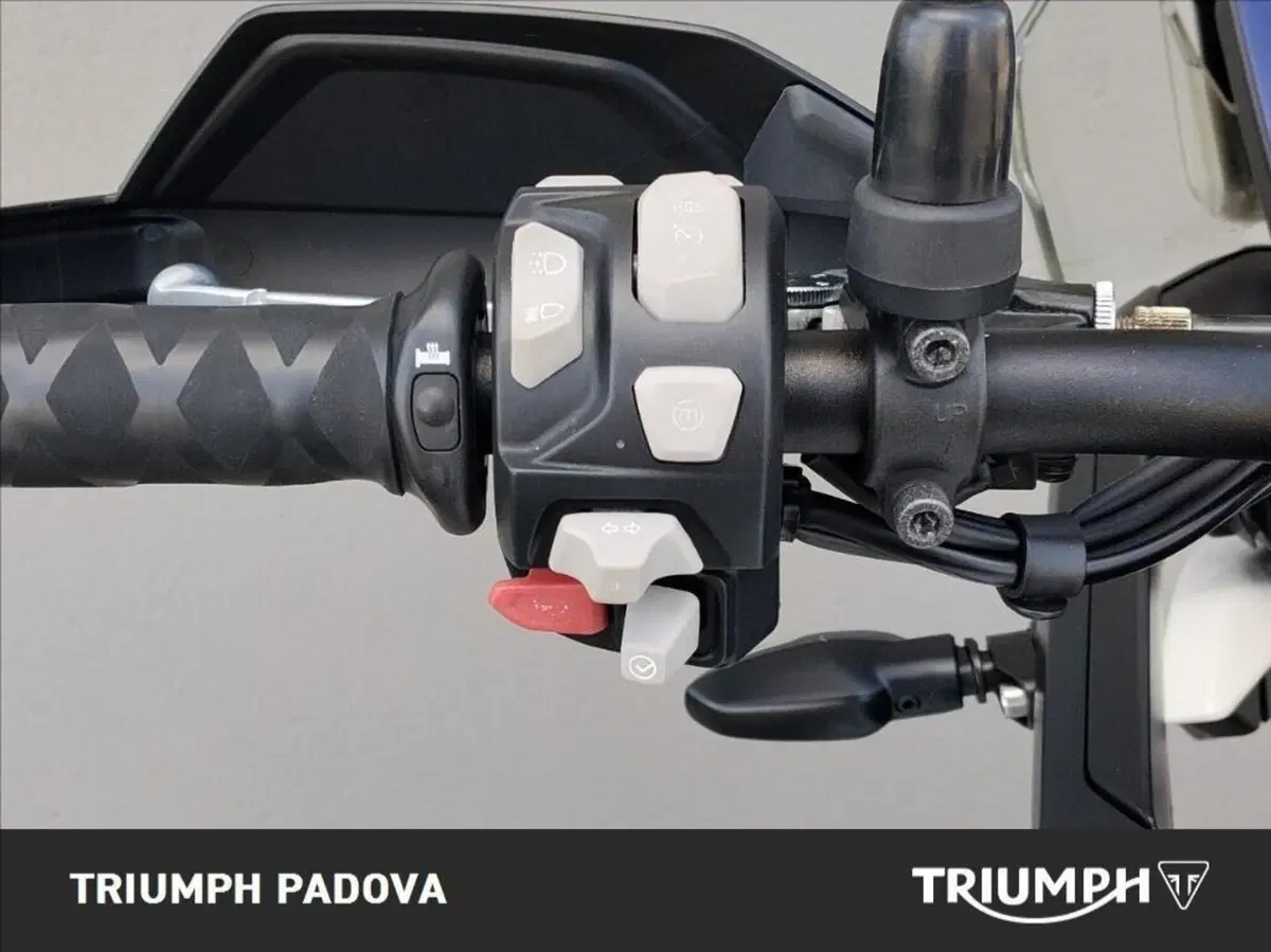 Triumph Tiger 900 GT (2020 - 23) (12)
