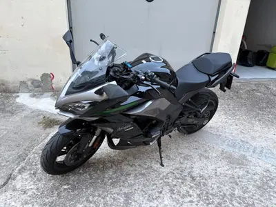Kawasaki Ninja 1000 SX (2020) usata