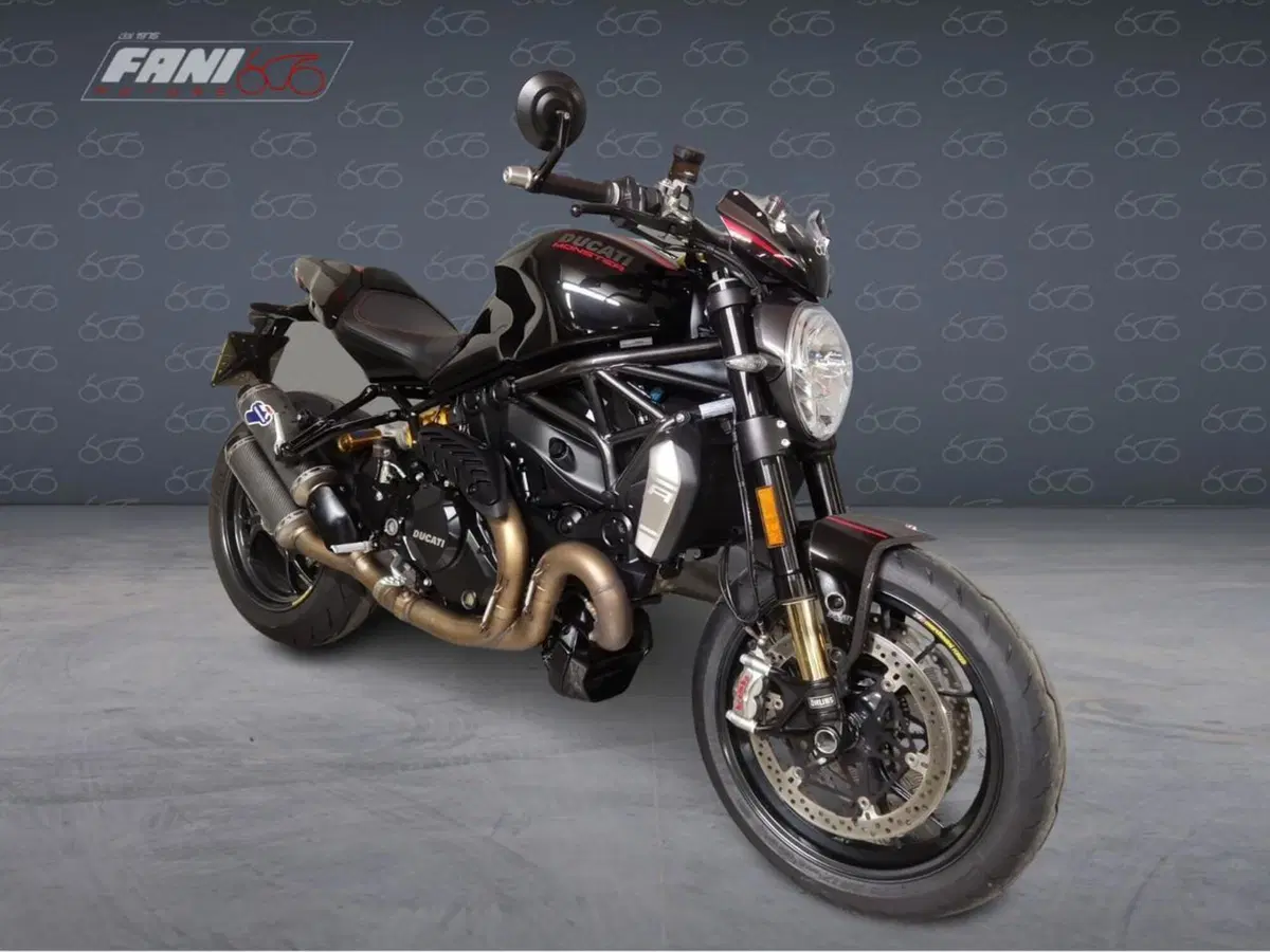 Ducati Monster 1200 R (2016 - 19) (2)
