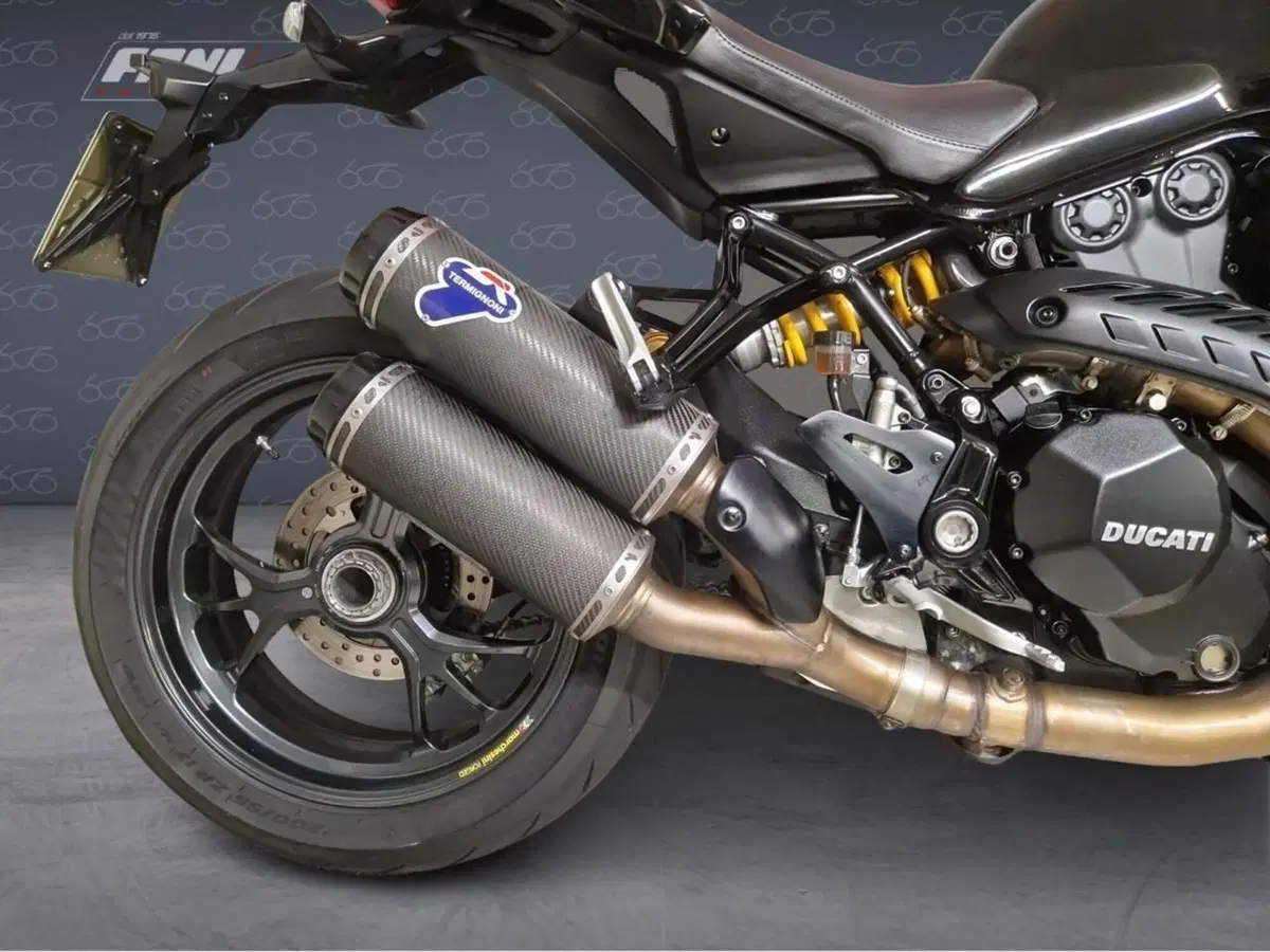 Ducati Monster 1200 R (2016 - 19) (5)