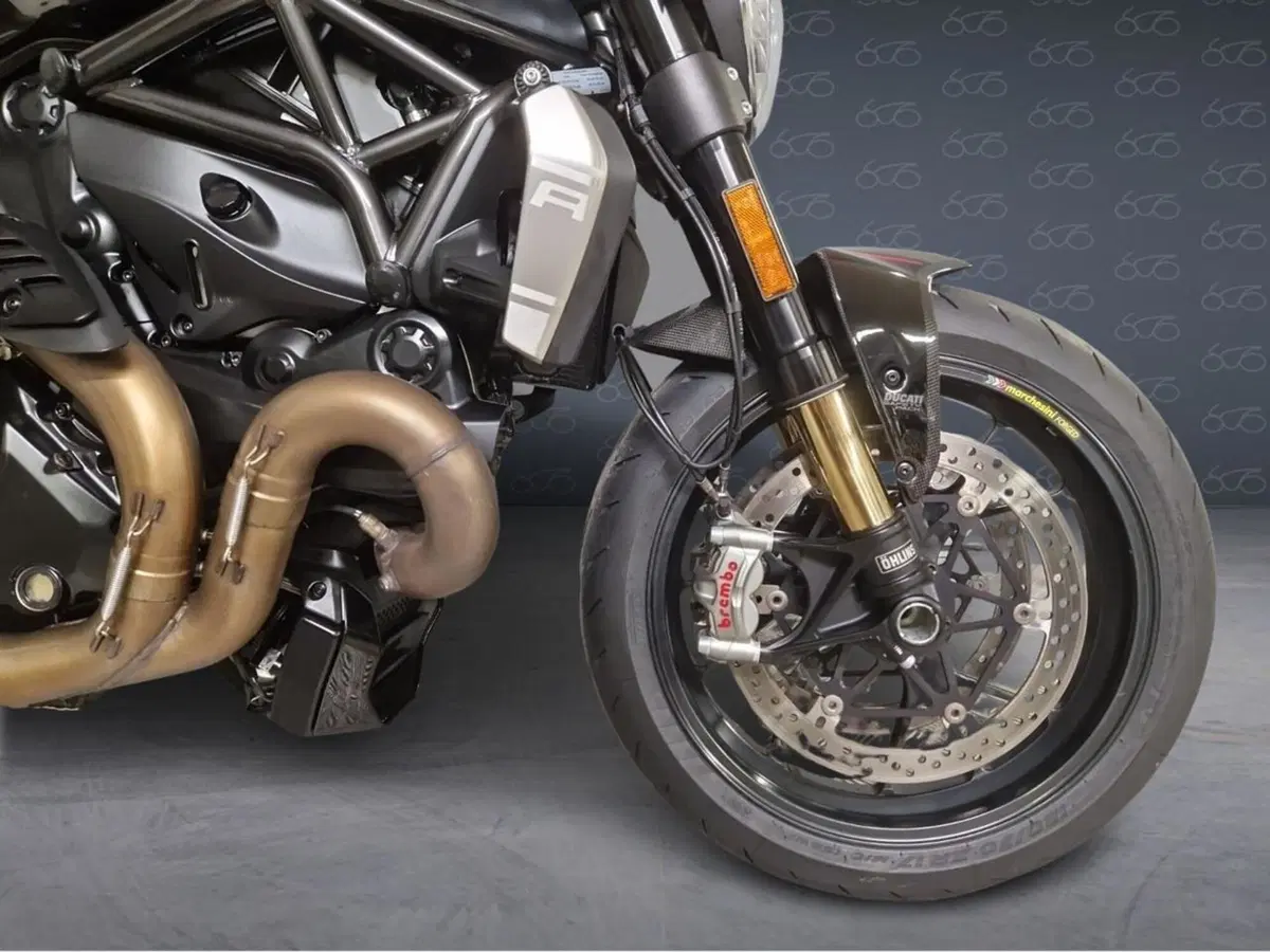 Ducati Monster 1200 R (2016 - 19) (6)