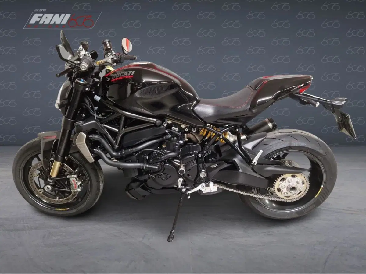Ducati Monster 1200 R (2016 - 19) (3)