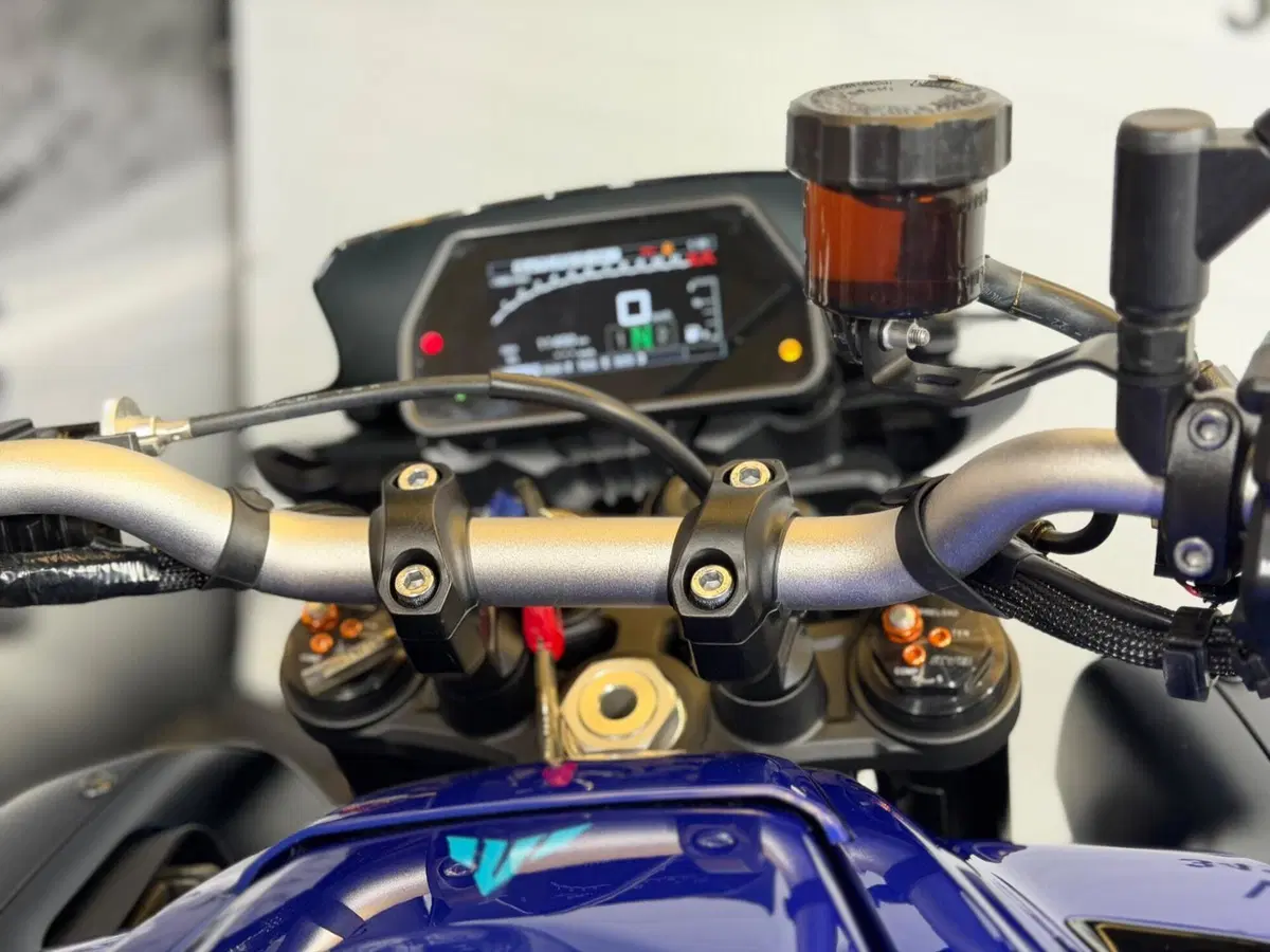 Yamaha MT-10 (2022 - 26) (17)