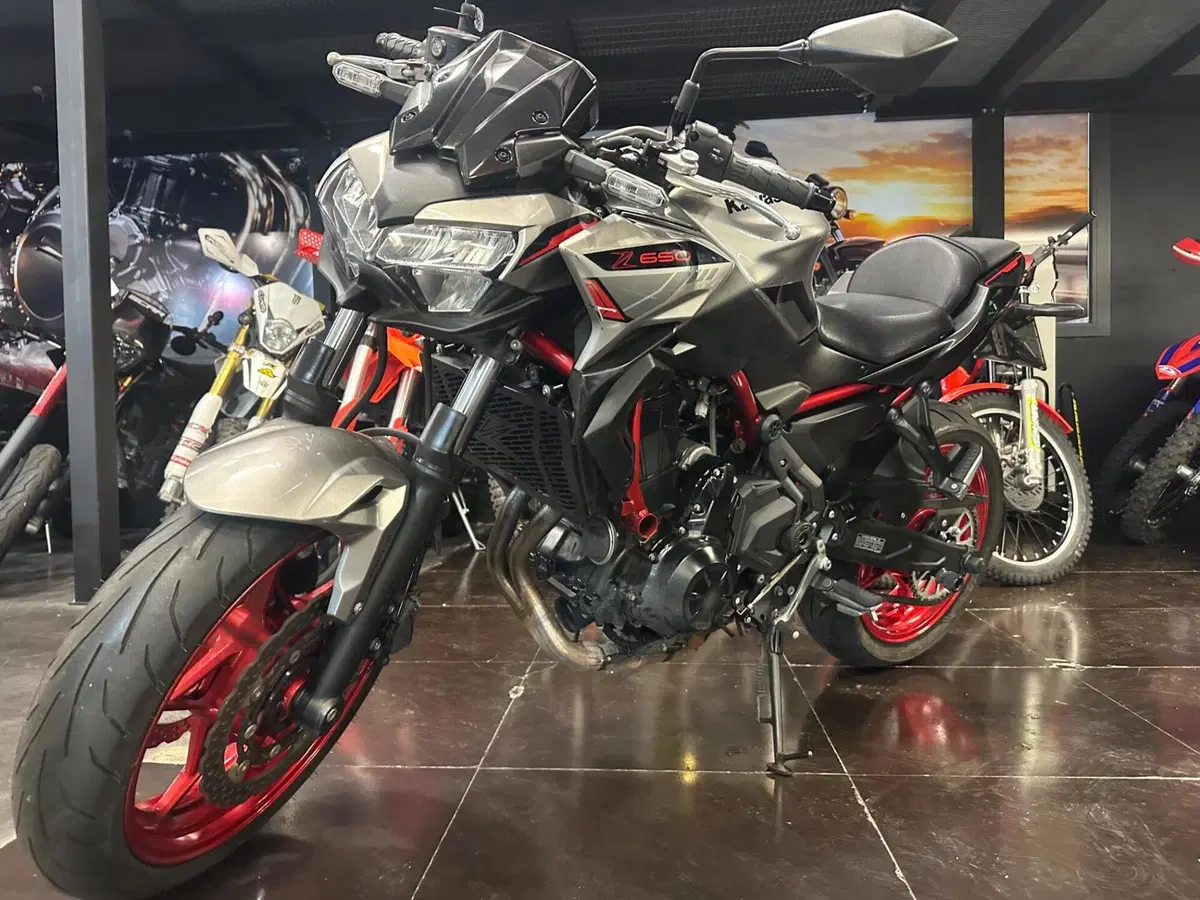 Kawasaki Z 650 (2021 - 24) (2)