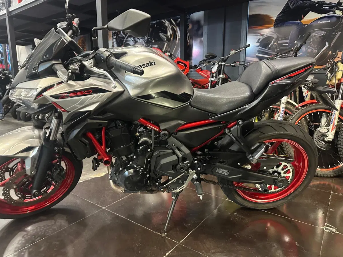Kawasaki Z 650 (2021 - 24) (5)