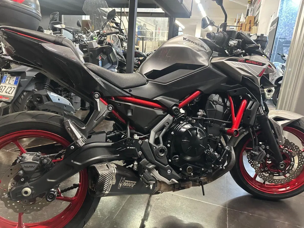 Kawasaki Z 650 (2021 - 24) (6)