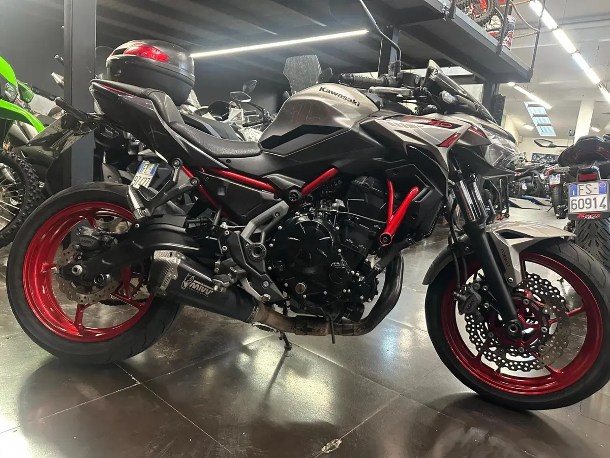 Kawasaki Z 650 (2021 - 24) (7)