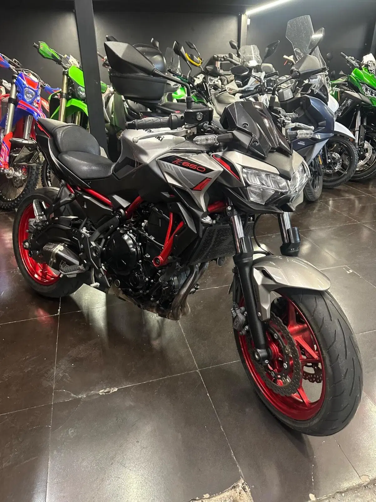 Kawasaki Z 650 (2021 - 24) (10)