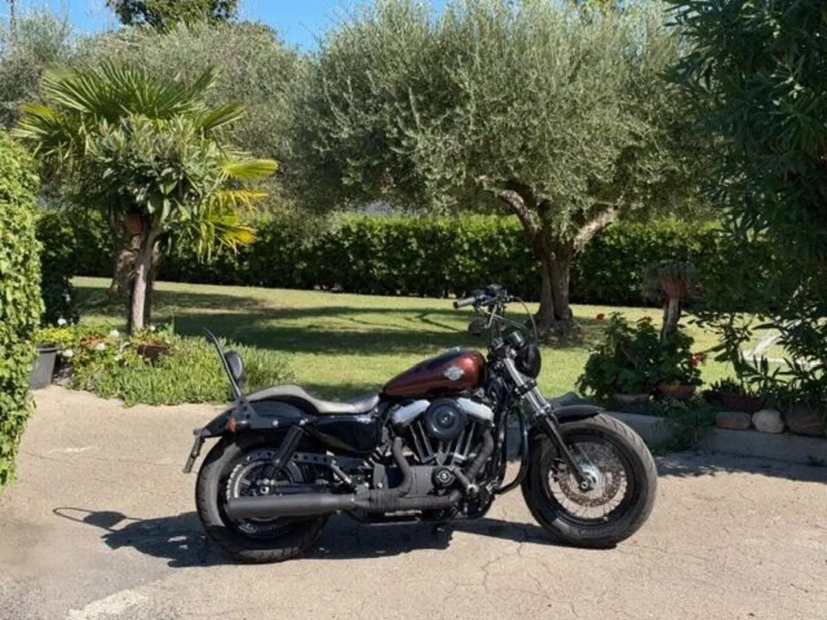 Harley-Davidson 1200 Forty-Eight (2016 - 20) (2)