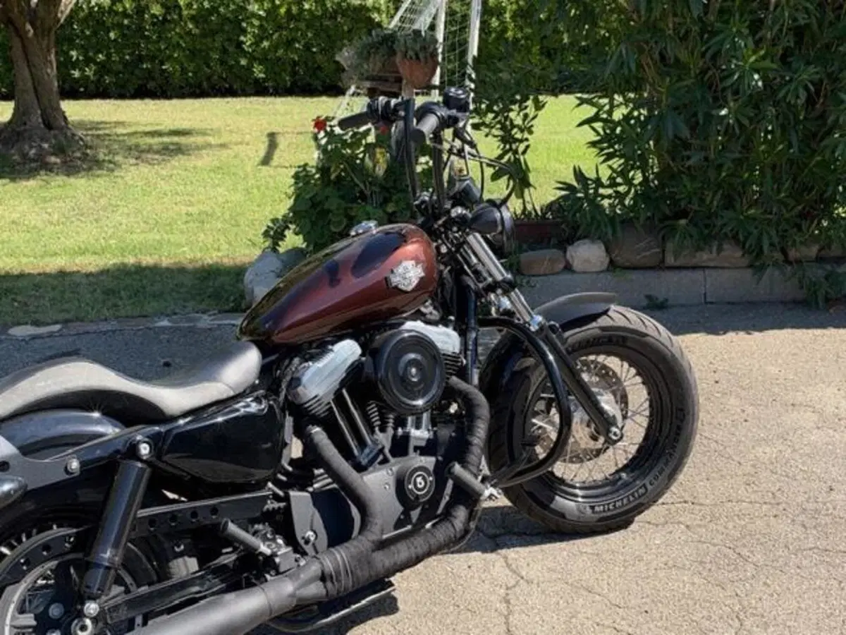 Harley-Davidson 1200 Forty-Eight (2016 - 20) (3)