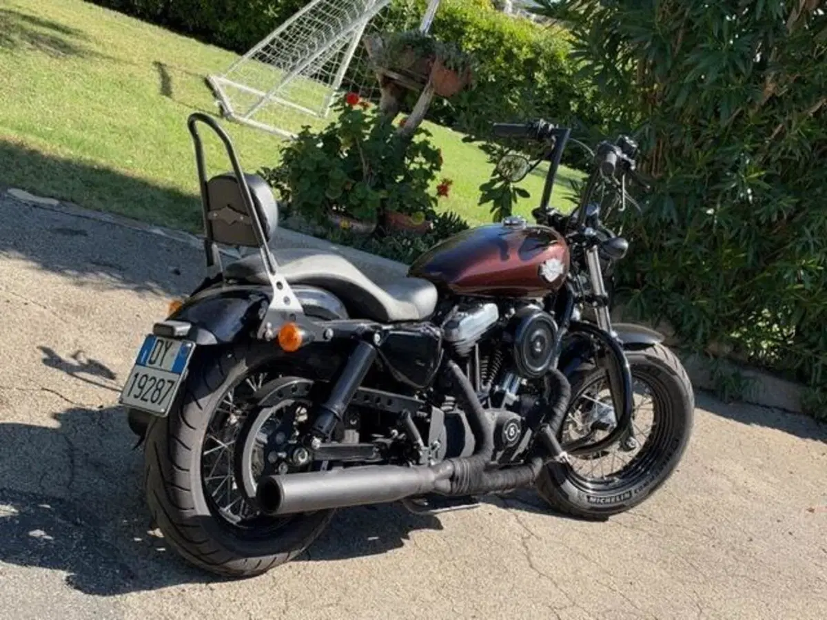 Harley-Davidson 1200 Forty-Eight (2016 - 20) (5)