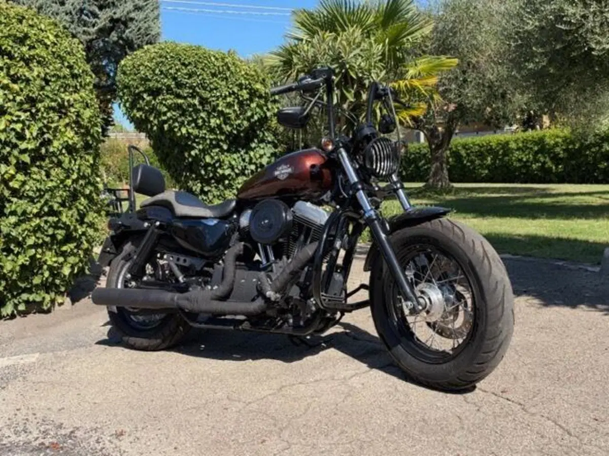 Harley-Davidson 1200 Forty-Eight (2016 - 20) (6)