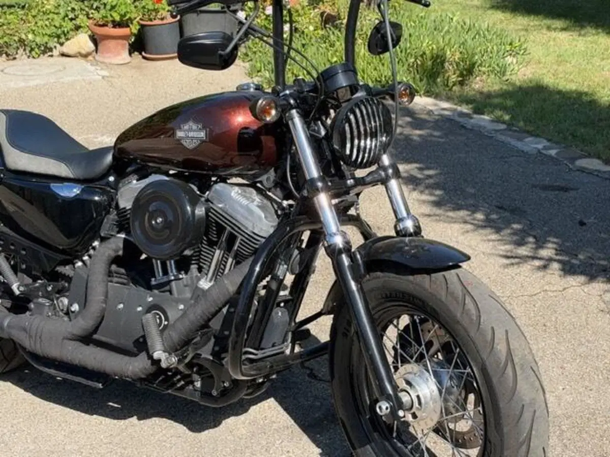 Harley-Davidson 1200 Forty-Eight (2016 - 20) (7)