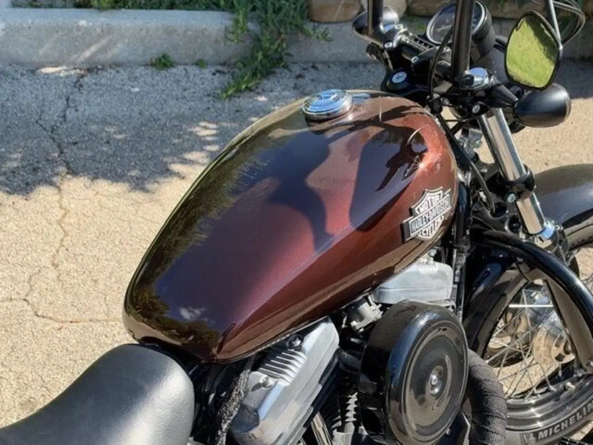 Harley-Davidson 1200 Forty-Eight (2016 - 20) (8)