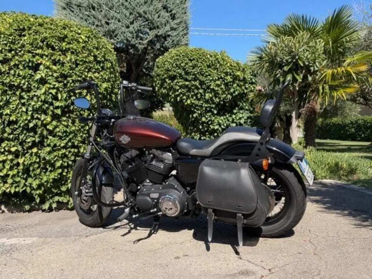 Harley-Davidson 1200 Forty-Eight (2016 - 20) (10)