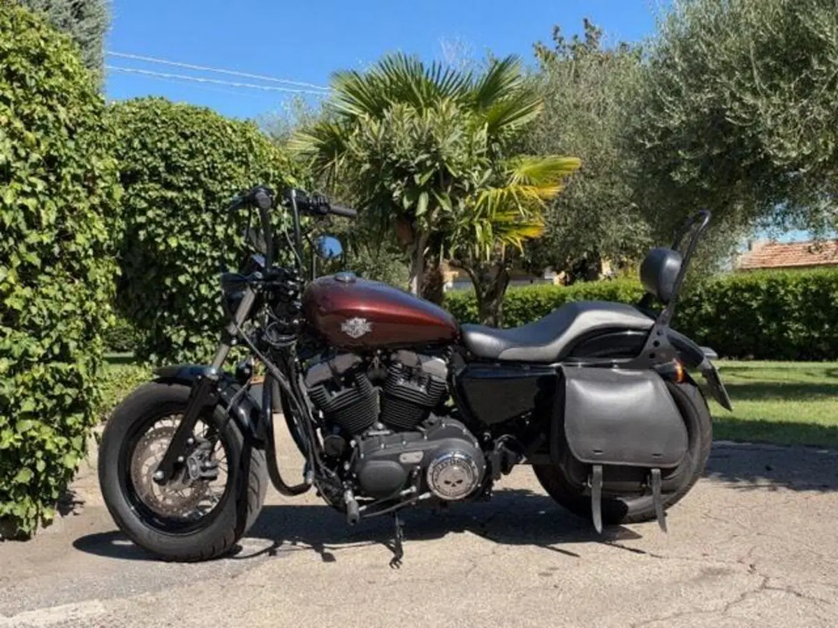 Harley-Davidson 1200 Forty-Eight (2016 - 20) (11)