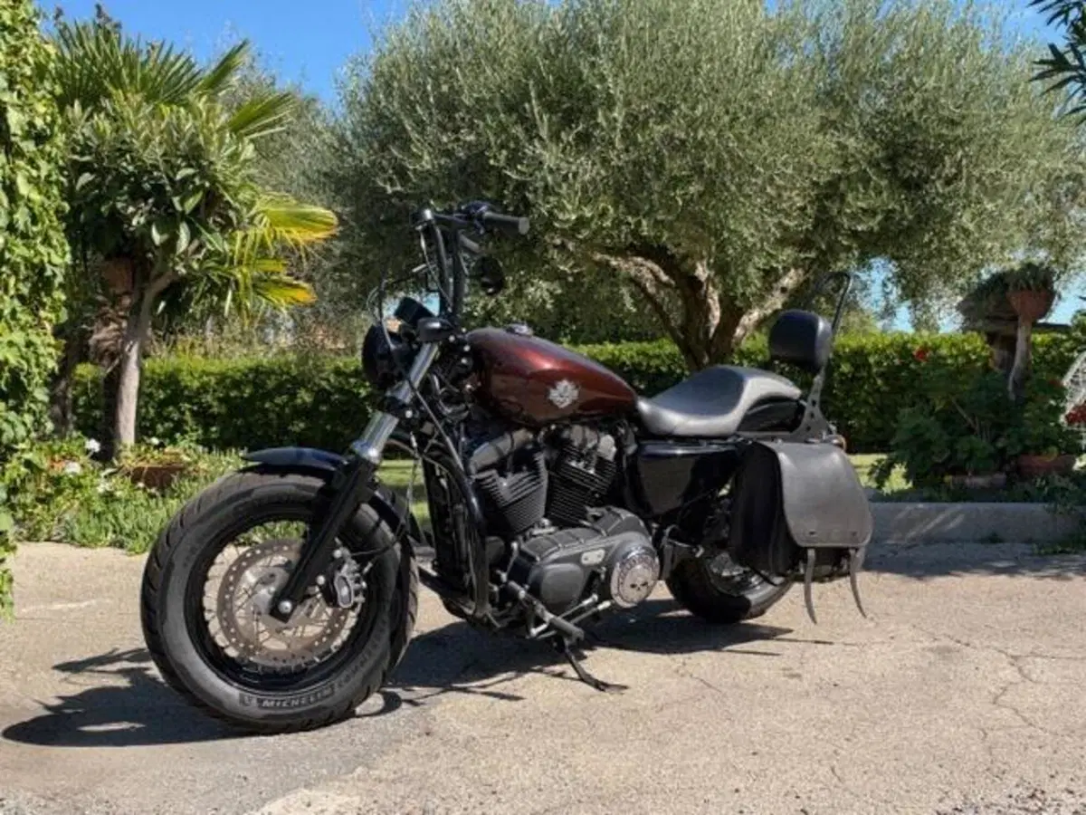 Harley-Davidson 1200 Forty-Eight (2016 - 20) (12)