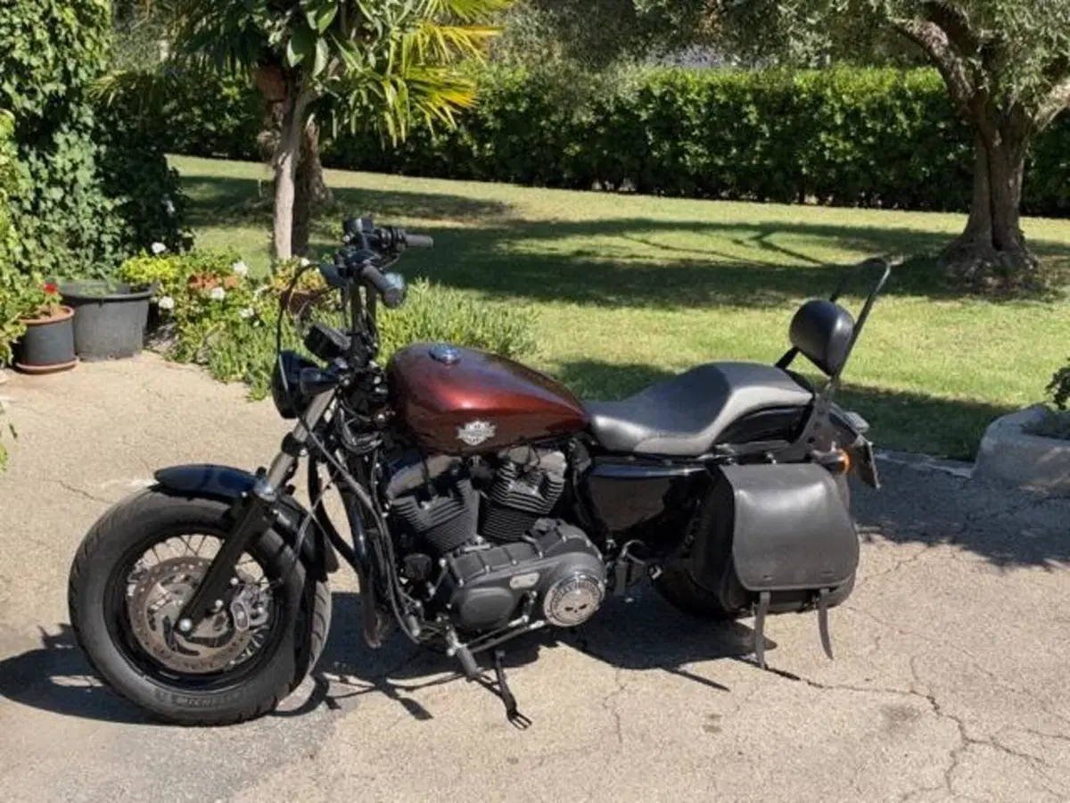 Harley-Davidson 1200 Forty-Eight (2016 - 20) (13)