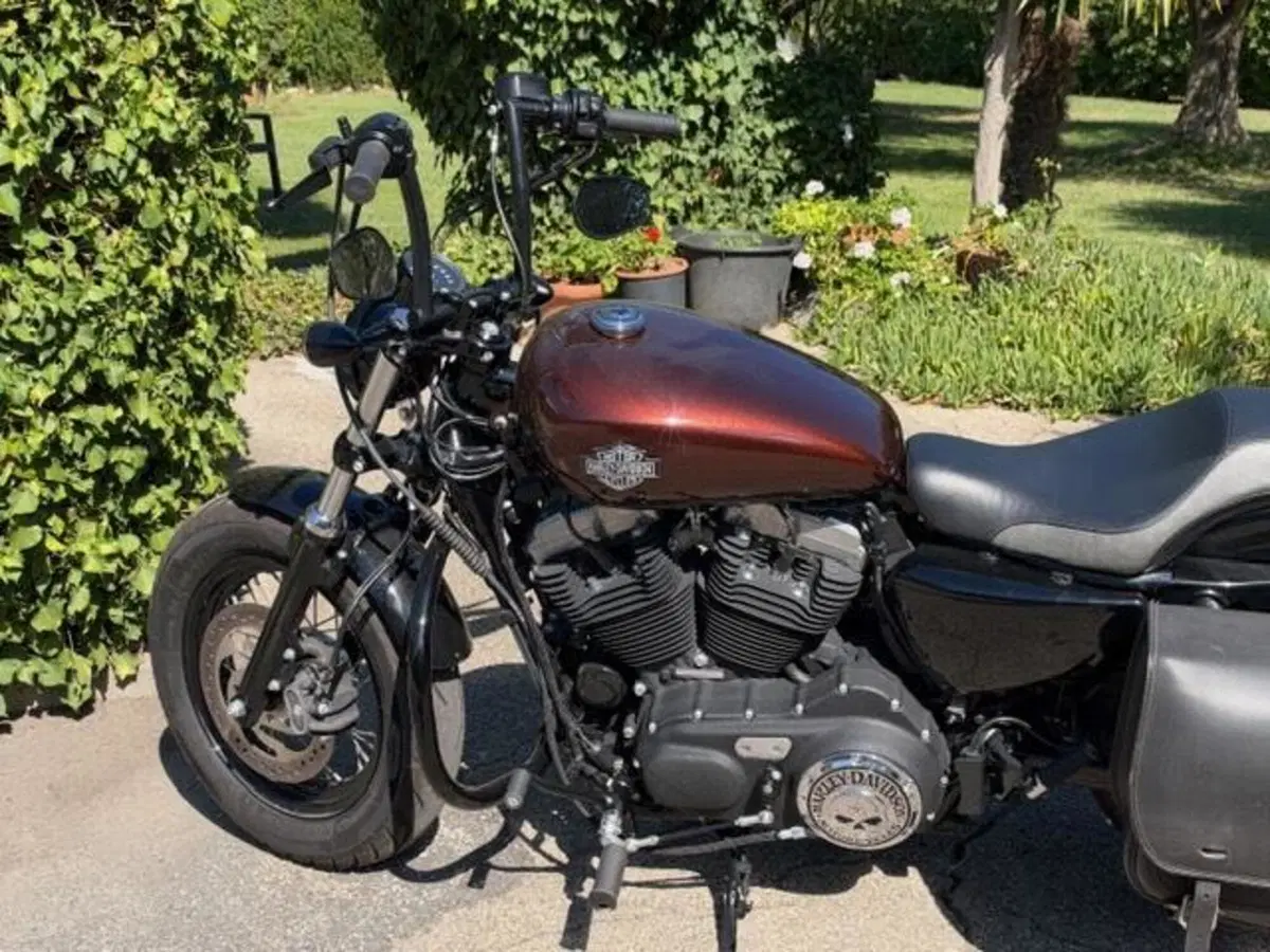 Harley-Davidson 1200 Forty-Eight (2016 - 20) (14)