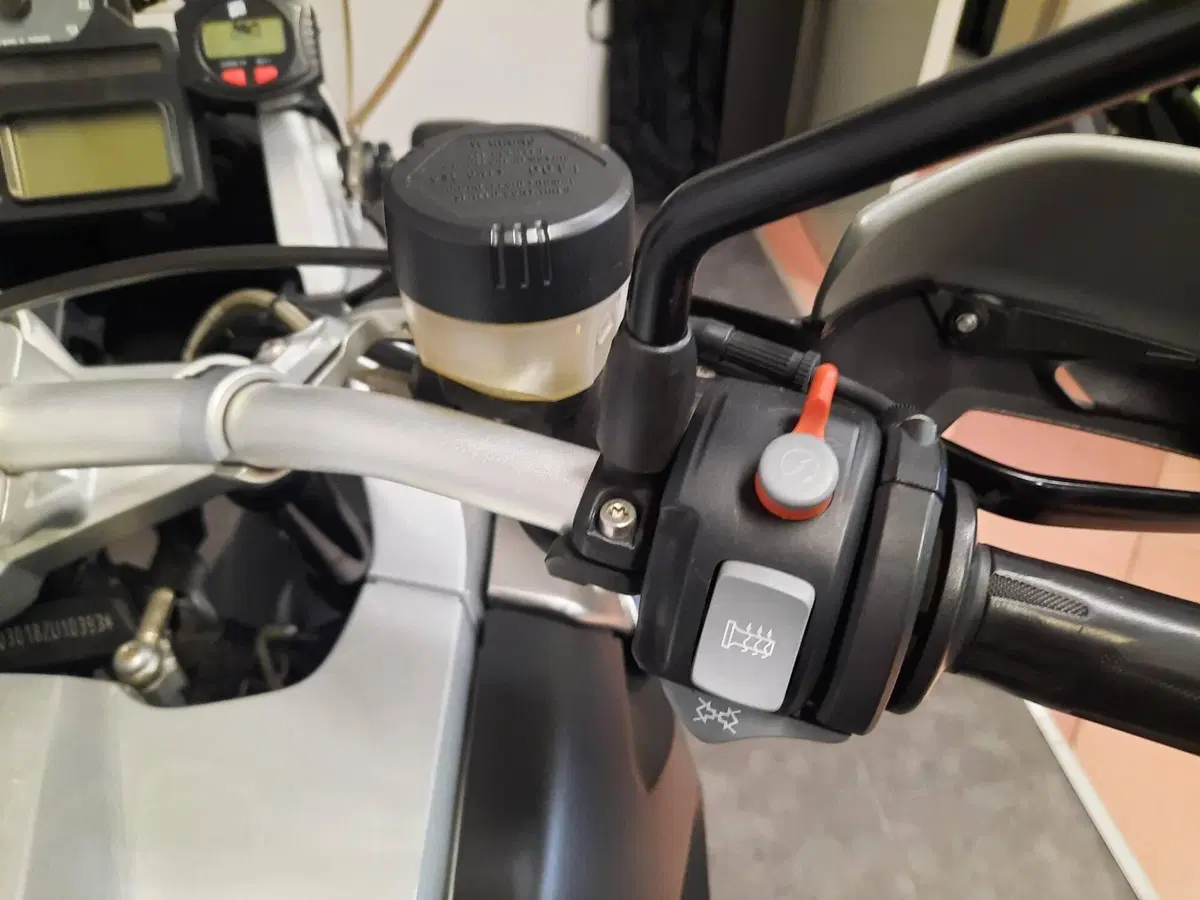 Bmw R 1200 GS (2008 - 09) (15)