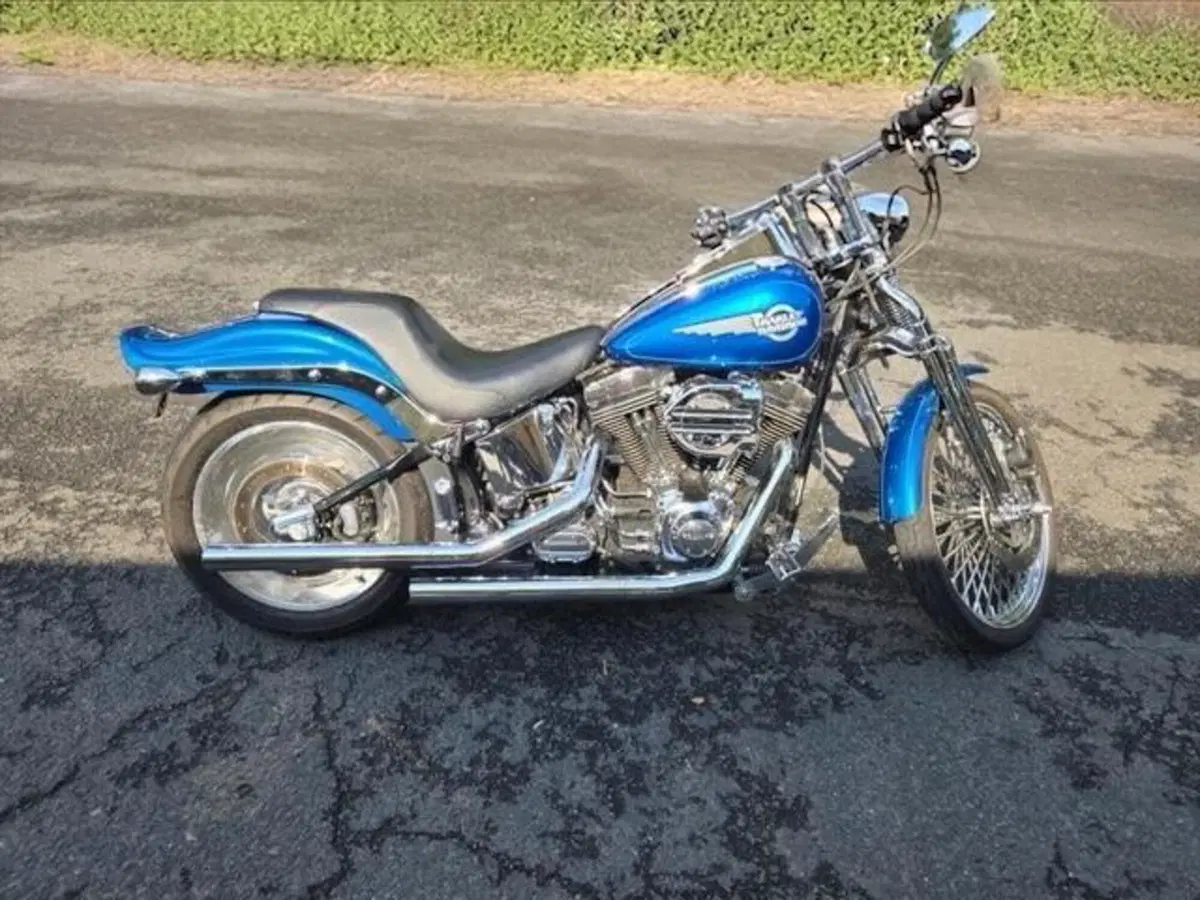 Harley-Davidson 1450 Springer (2005 - 06) - FXSTSI