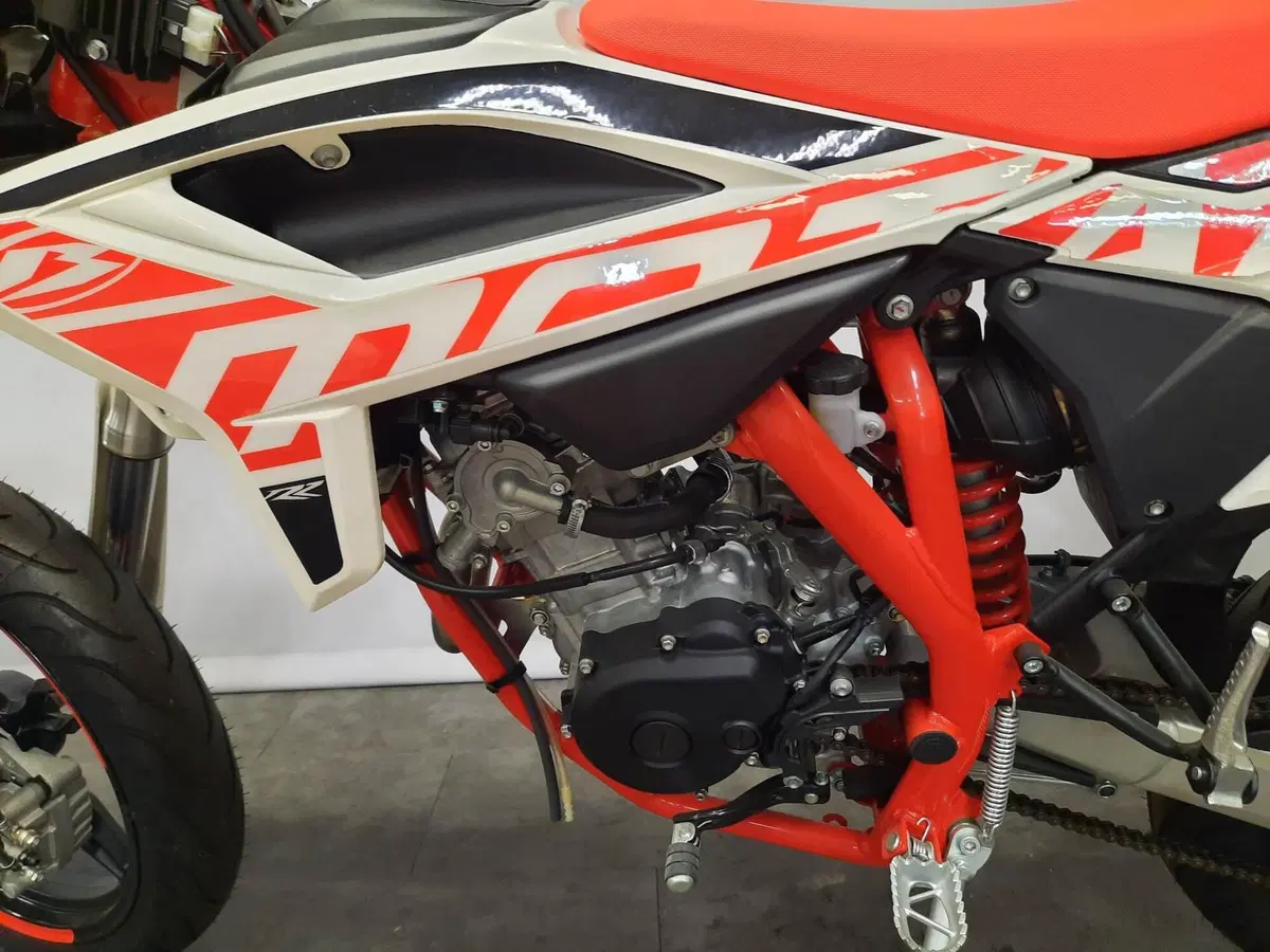 Betamotor RR 125 4T Motard LC (2021 - 23) (4)