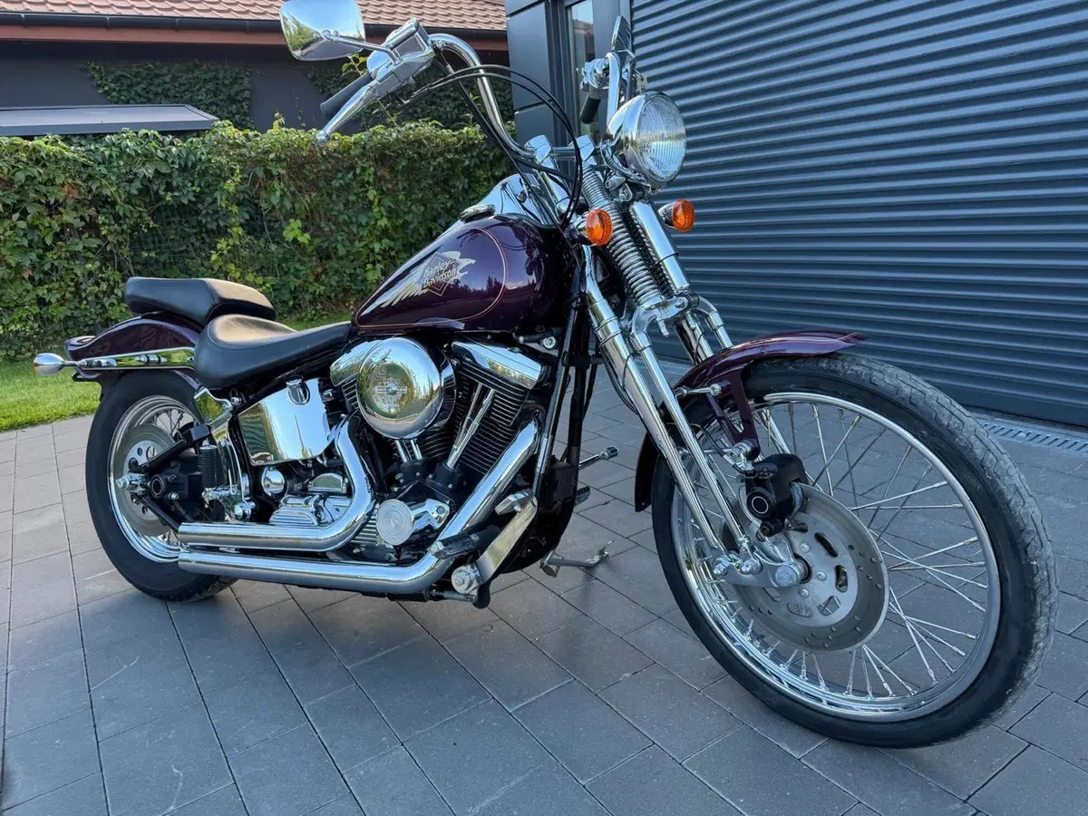Harley-Davidson 1340 Springer (1990 - 98) - FXSTS