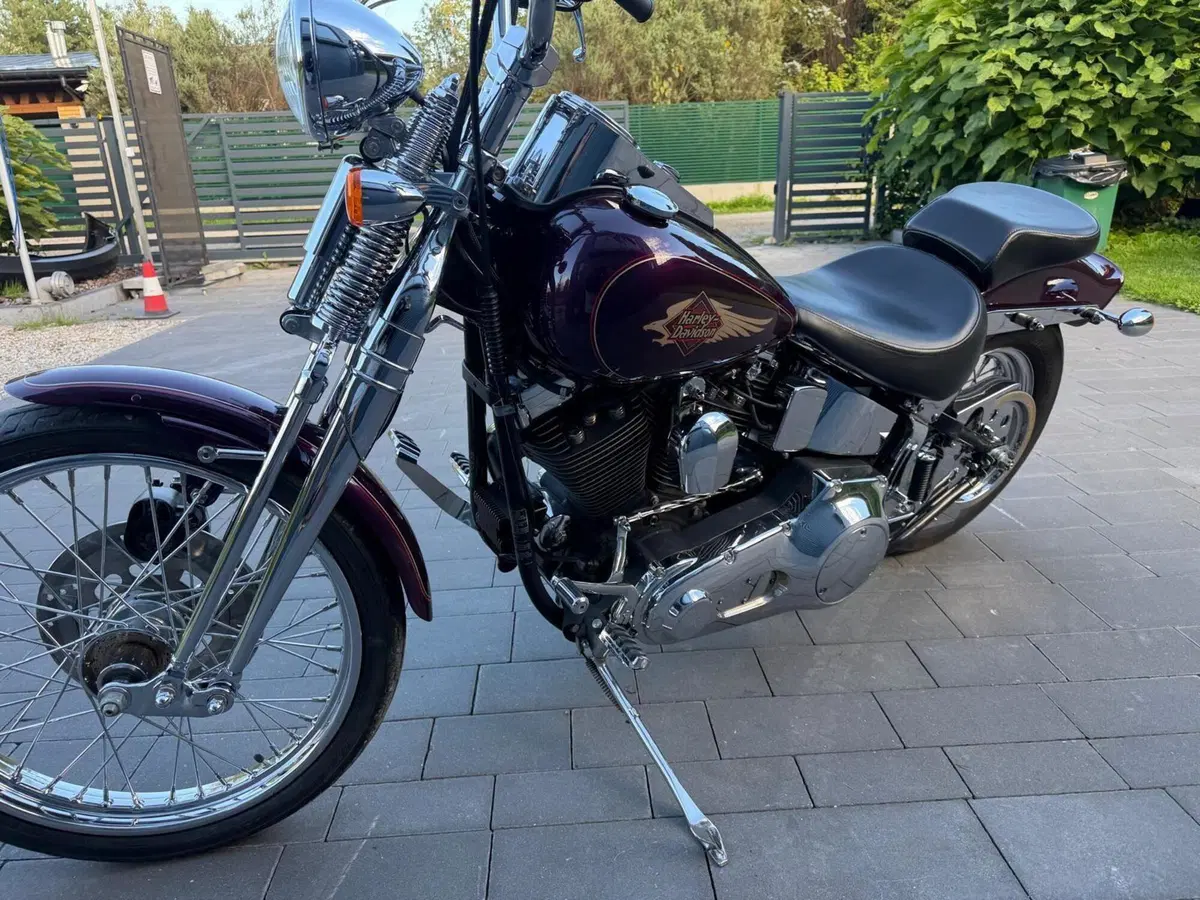 Harley-Davidson 1340 Springer (1990 - 98) - FXSTS (2)