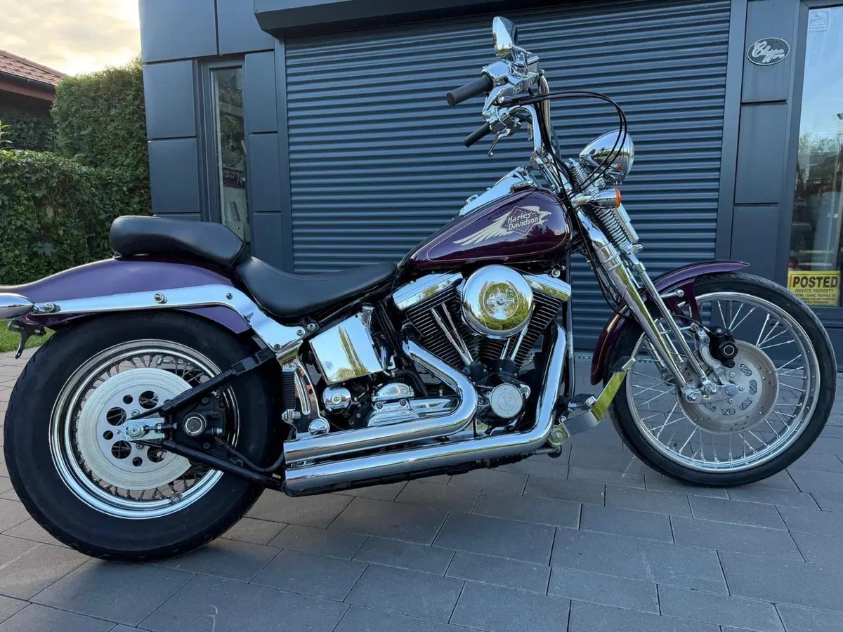 Harley-Davidson 1340 Springer (1990 - 98) - FXSTS (3)