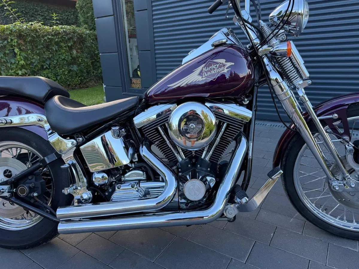 Harley-Davidson 1340 Springer (1990 - 98) - FXSTS (4)