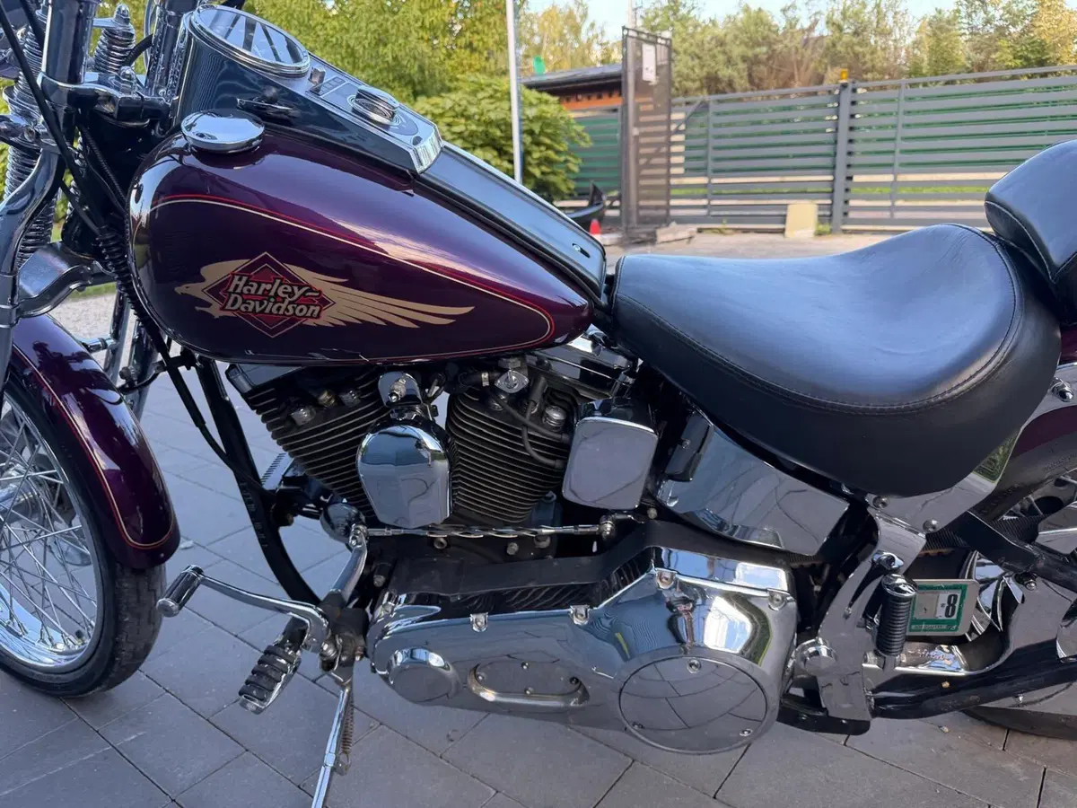 Harley-Davidson 1340 Springer (1990 - 98) - FXSTS (5)