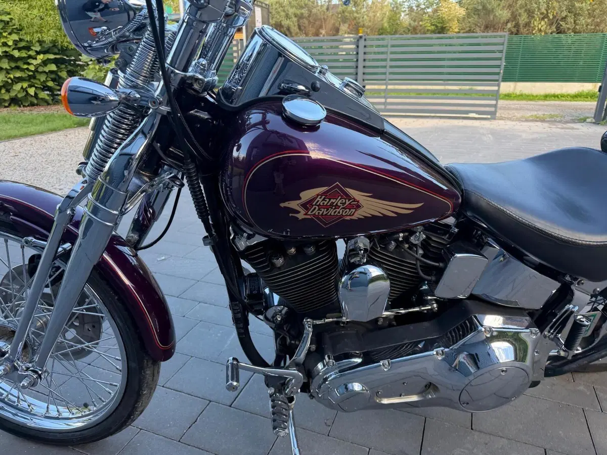 Harley-Davidson 1340 Springer (1990 - 98) - FXSTS (6)