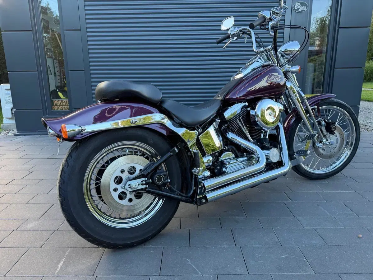 Harley-Davidson 1340 Springer (1990 - 98) - FXSTS (7)