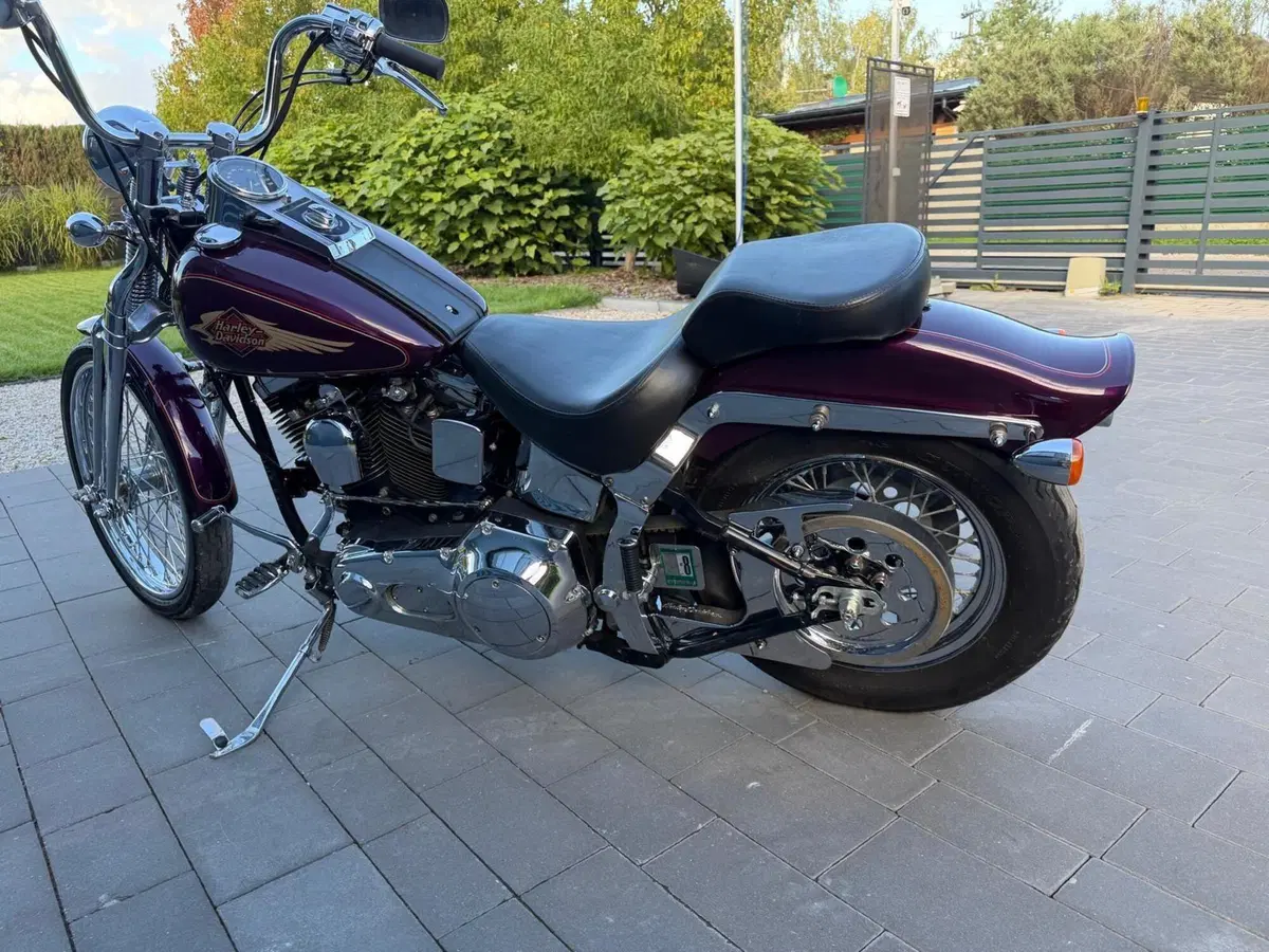 Harley-Davidson 1340 Springer (1990 - 98) - FXSTS (8)