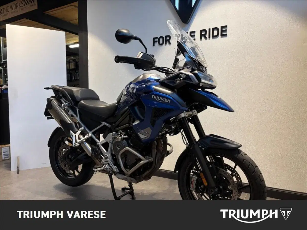 Triumph Tiger 1200 GT Pro (2022 - 23) (3)
