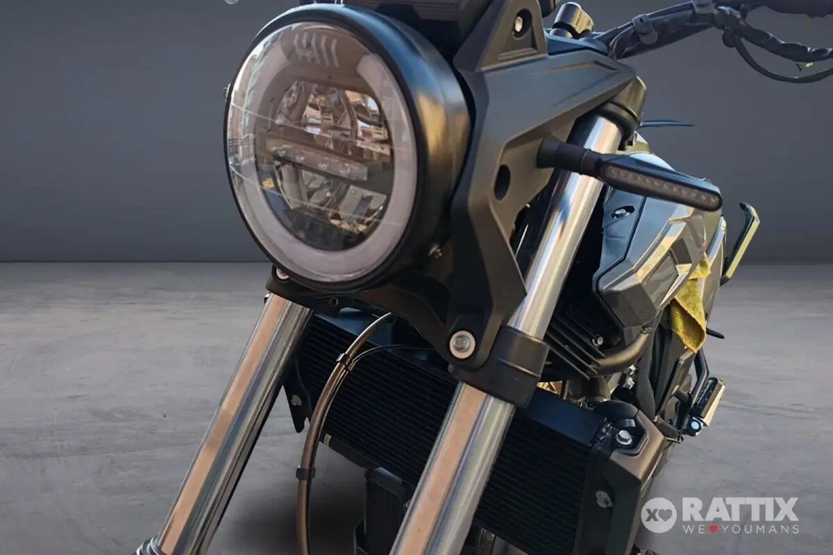 Betamotor Alp X (2024 - 26) (6)