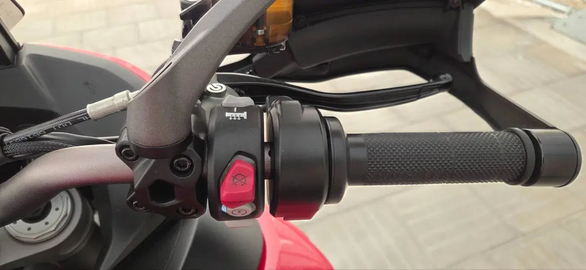 Ducati Multistrada 1260 Enduro (2019 - 21) (3)
